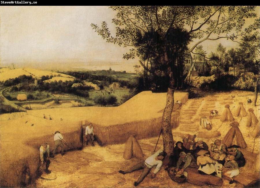 BRUEGHEL, Pieter the Younger The Corn Harvest